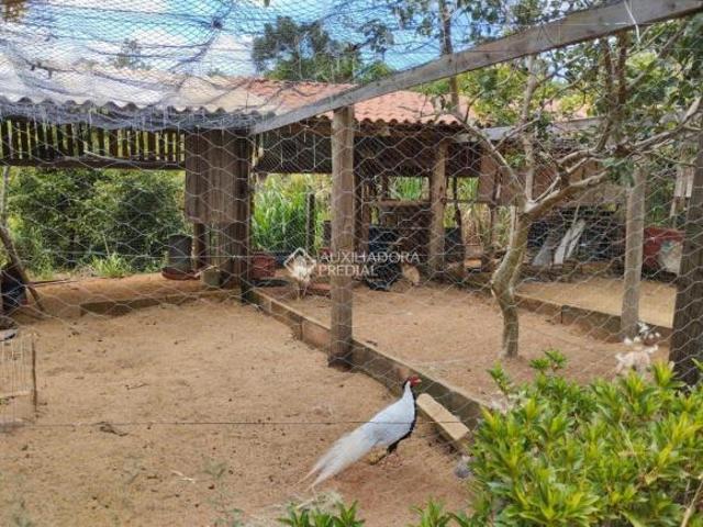 Propriedade Rural no bairro Lomba Grande
