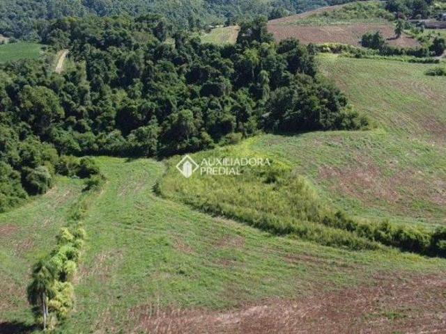 Propriedade Rural no bairro Linha Geralda