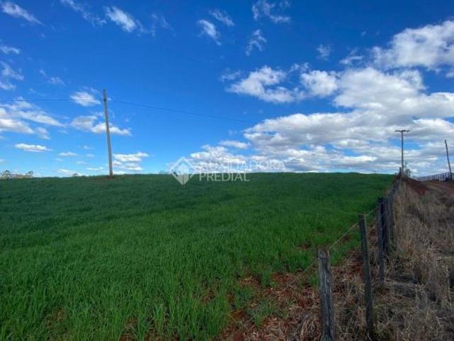 Propriedade Rural no bairro Pinheiros