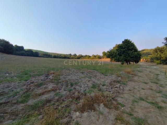 Propriedade Rústica com Cerca de 4,5 Hectares e Armazém | Chaves