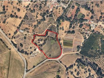 Propriedade Rústica com Ruína e Árvores de Fruto no Vale Formoso Tavira