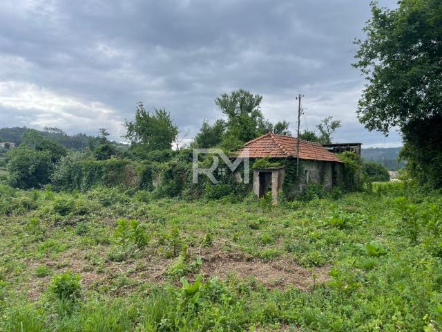 PROPRIEDADE RÚSTICA COM RUINA | RANS, PENAFIEL