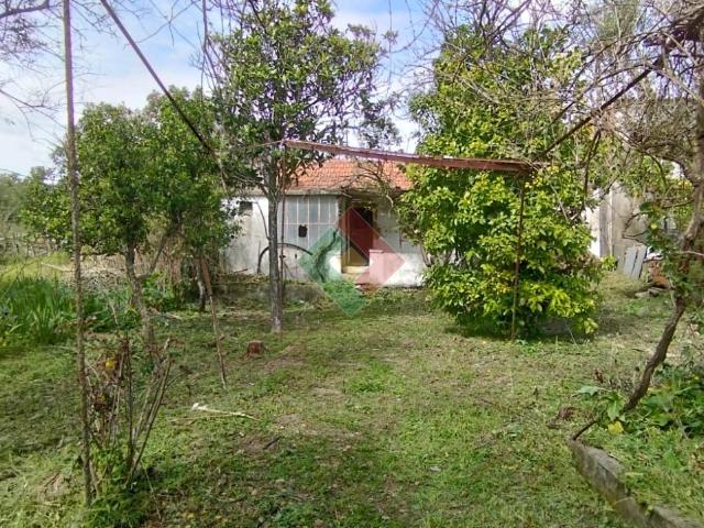Propriedade rústica, para venda, Ponte de Sor Ponte de Sor