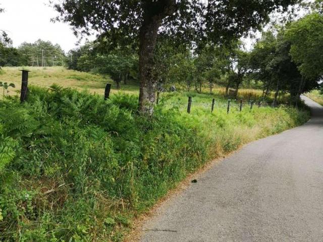 Propriedades Rurais O Incio Lugo 85997120