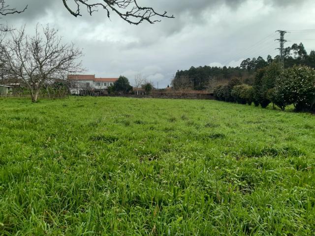 Propriedades Rurais Cabanas La Coruña LS81145297