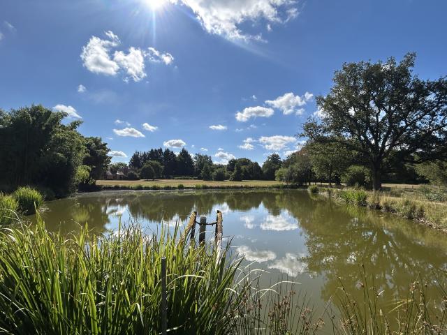 Propriété 2,2 ha avec étang, ancien corps de ferme, parc aboré, prairie