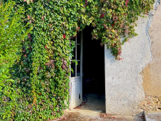 Propriété à vendre 9 pièces RIGUEPEU 32 315 m2 1,9 hectares