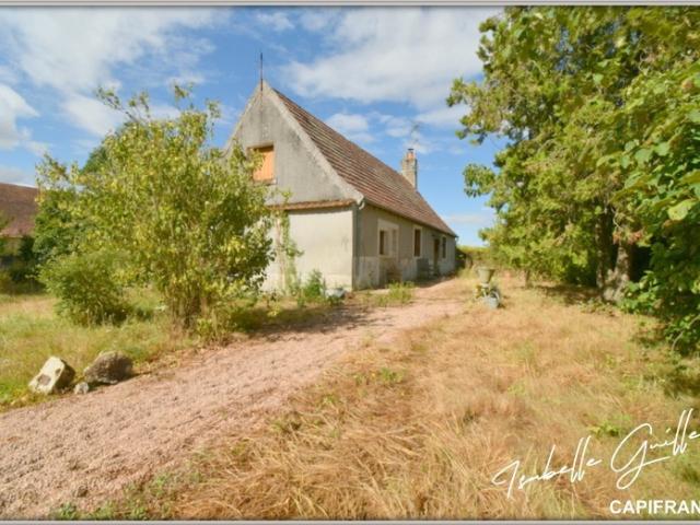 Propriété à vendre à Touchay: 2 maisons avec 4.5 hectares TOUCHAY 18