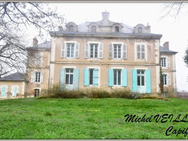 Propriété à vendre avec bâtisse de 15 pièces, 2 gîtes, terrain 7390 m², VILLENEUVE SUR ALLIER 03
