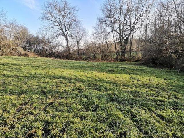 Propriété à vendre proche de Marciac: Maison 4 chambres, à finir de rénover. Cachée et isolée, on y accède par un long chemin. Terrasse couverte de 40m2 et terrain de 2,98 ha convient aux chevaux