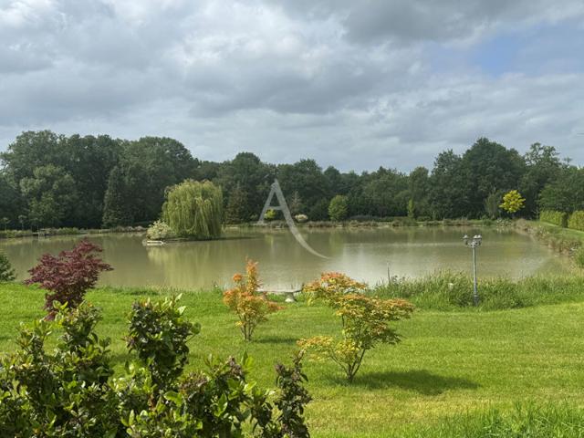 PROPRIETE A VENDRE VERNOU EN SOLOGNE