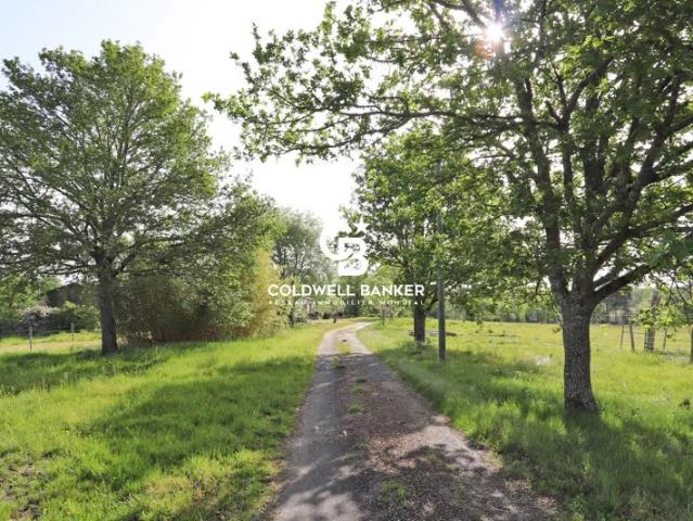 Propriété à la campagne, 29 hectares, lac, verger et source