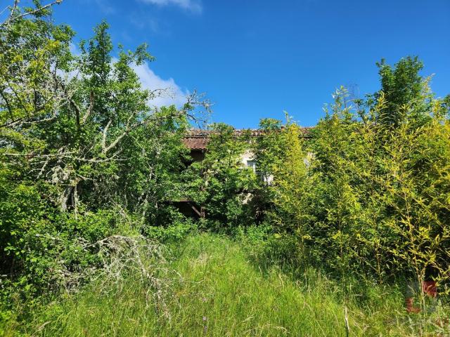 Propriété à rénover sur 11 hectares de terrain 170m² Saint Vincent Rive d'Olt