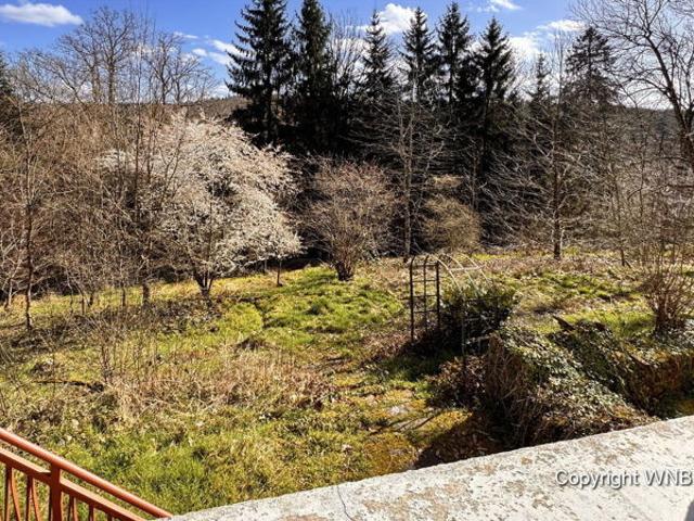 Propriété à rénover, située en pleine nature M9958 114003