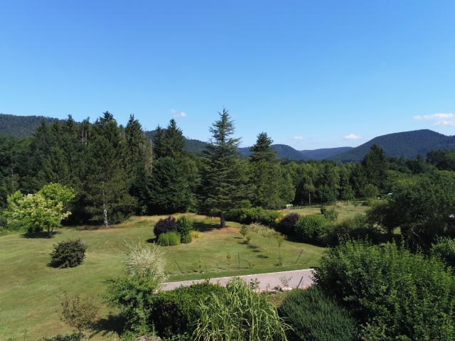 Propriété au coeur du massif vosgien