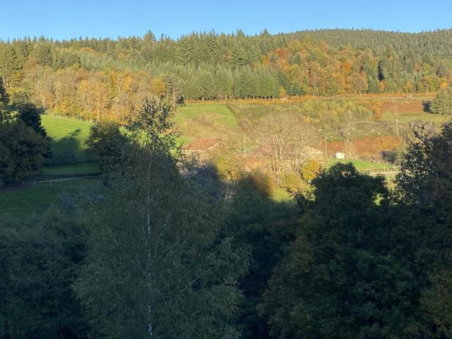 Propriété au coeur du Parc naturel du Livradois Forez 27 h 300m² Augerolles
