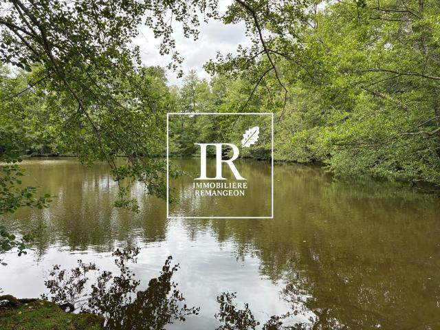 PROPRIETE AVEC ETANG BRINON SUR SAULDRE