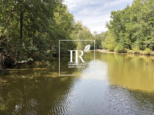 PROPRIETE AVEC ETANGS
