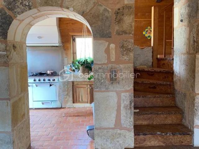 Propriété avec Gîte piscine et dépendances jardin 8700M² 8MIN RUFFEC ET CIVRAY