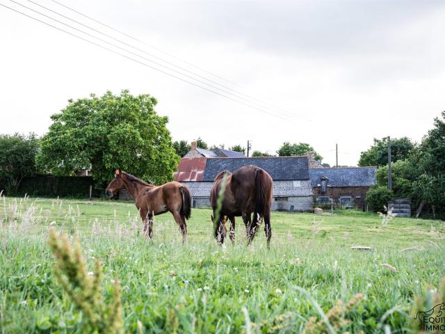 Propriété, avec maison et dépendances, prairie 1ha50 128m² Fougères