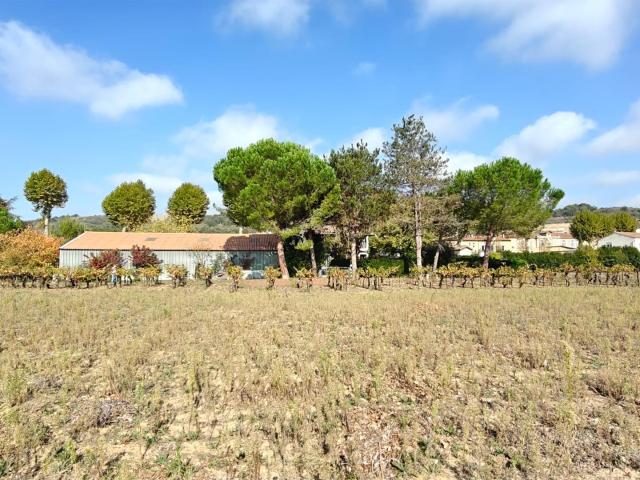 propriété axe Limoux Carcassonne dans un village avec commod. 126m² Cépie