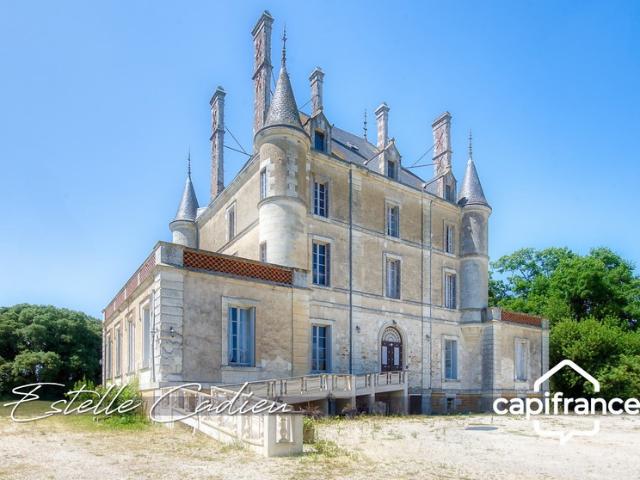 Propriété d’exception – Château XIXe à CHANTONNAY 85