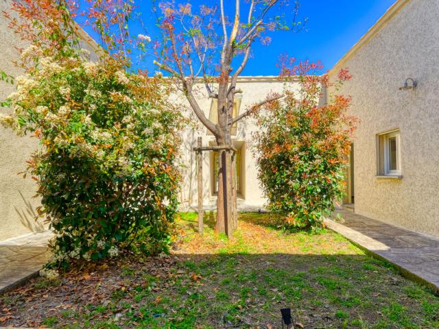 Propriété deux mini villas Oletta 243 m2 terrain 1254 m2