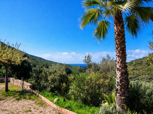 PROPRIETE D'EXCEPTION ! PLAGE D'ARONE, PIANA