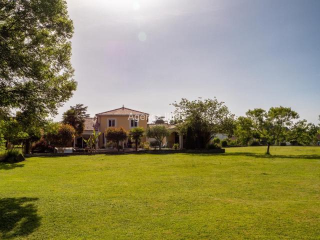 Propriete D'exception Sur 6000 m²: Elegance, Nature Et Art D. 230m² Bidos