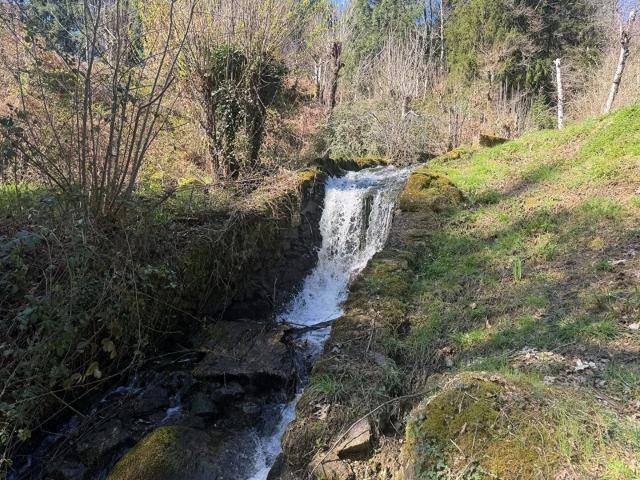 Propriété de 11 hectares avec maison, dépendance, et 2 étangs, entourée de bois