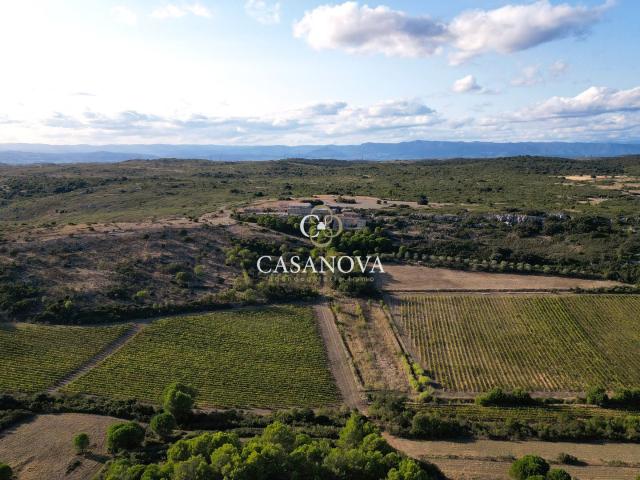 Propriété de 211 hectares mas en pierre vignoble récept. 755m² Montpellier