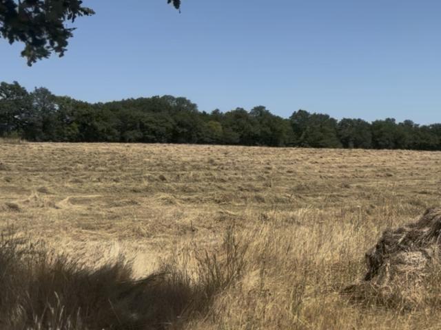 Propriété de 242m2 à Saint Junien et 14 hectares
