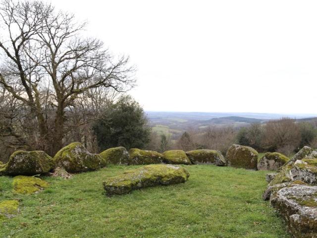 Propriété de 2 ha 78 en situation dominante 270m² Dettey