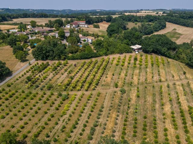 Propriété de campagne avec verger biologique 170m² Saint Maurin