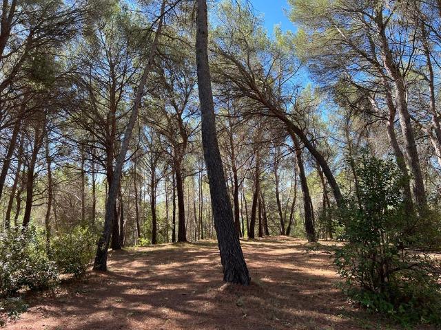 Propriété de Campagne de prestige de 7 pièces en vente Aix en Provence, France