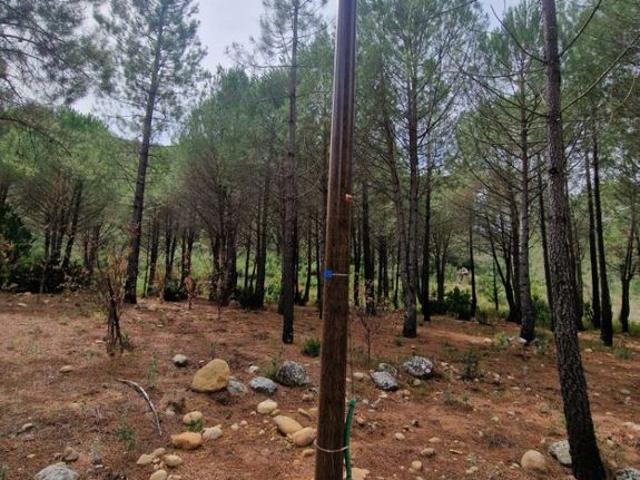 Propriété de Campagne de prestige de 8 pièces en vente SOLENZARA, Solenzara, Corse du Sud, Corse