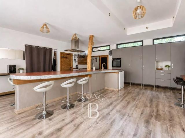 Propriété de caractère au cœur d'un parc arboré 330m² Saint Savin