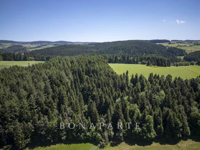 Propriete De Caractere Au Coeur Du Parc Naturel Regional Du. 620m² Jonzieux