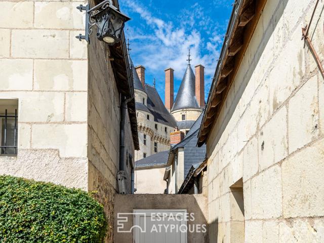 Propriété de caractère avec local commercial et chambres d'h. 420m² Langeais