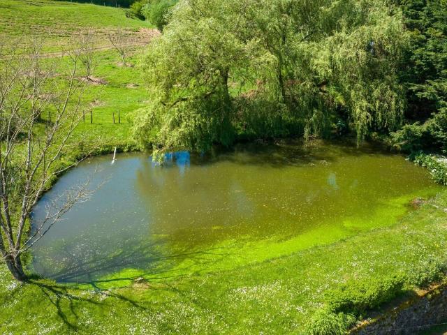 Propriété de caractère Vallée de la dordogne 240m² Argentat