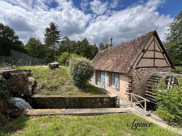 Propriété de caractère: 3 maisons/gîtes, piscine, étang 360m² Vailly sur Sauldre