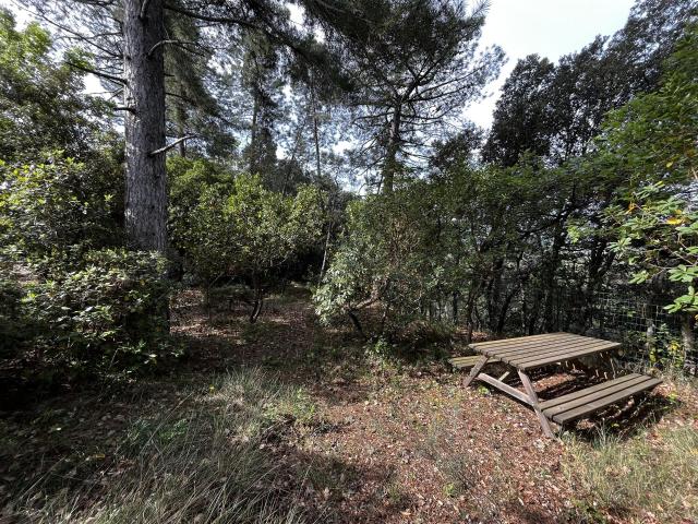 Propriété de charme dans un cadre exceptionnel comprenant 5. 167m² Saint Julien de Peyrolas
