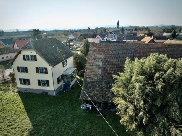 Propriété d'une superficie de 193,76 m2 avec dépendances sur terrain 8242 m2 à RICHTOLSHEIM 67390