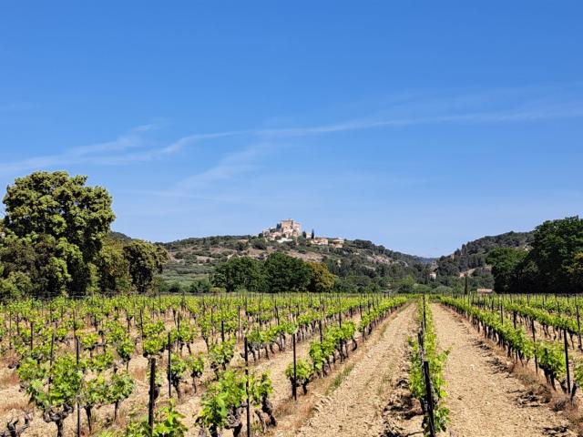 Propriété entre Ventoux et Dentelles de Montmirail 210m² Caromb