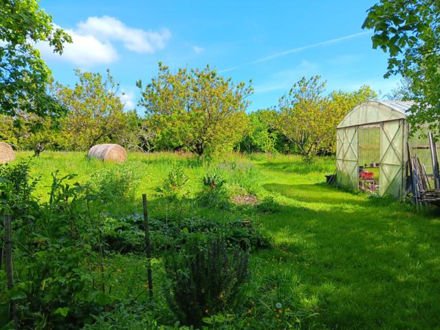 Propriété en pierre sur près de 3 hectares