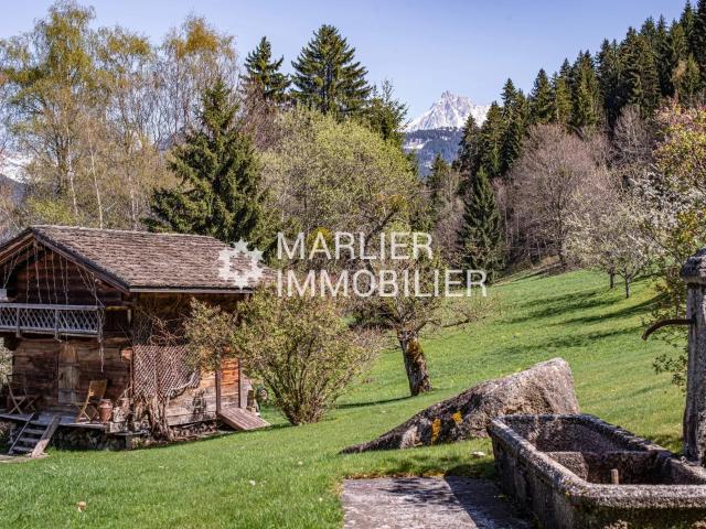 Propriété en pleine nature à 10 minutes de MEGEVE