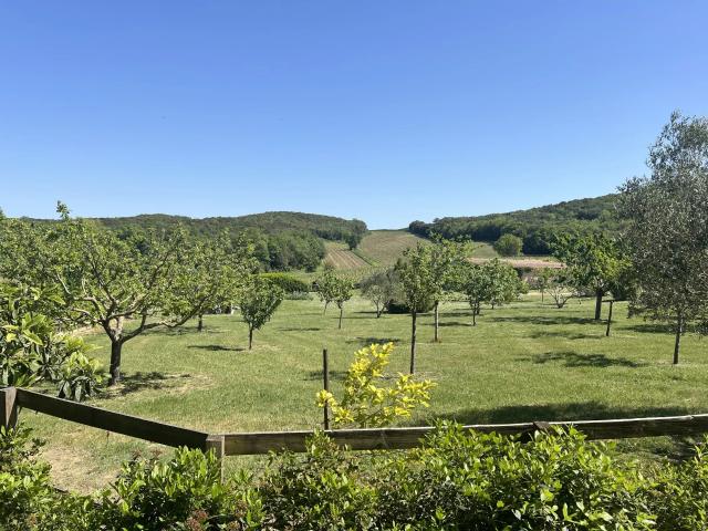 Propriété écologique tout confort dans un écrin de verdure 230m² Alairac