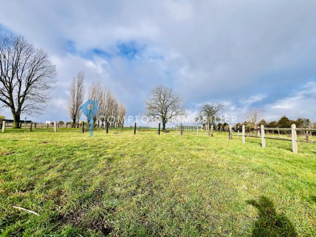 Propriété équestre avec maison familiale, manège, dépendance