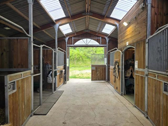 Propriété Équestre d’Exception avec Maison d'Amis et 14 ha –. 296m² Saint Urcisse