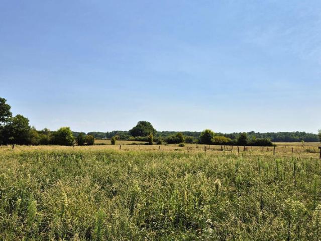 Propriété équestre de 2,2 hectares